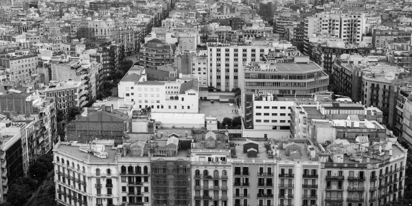 Delitos Contra la Propiedad / Urbanísticos Albal · Parcelación en Suelo No Edificable