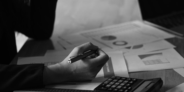 Delitos Societarios El Real de Gandia ​ · Delitos de Impedimento del Ejercicio de los Derechos Sociales