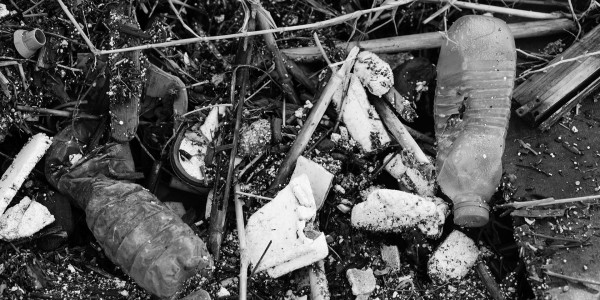Delitos Societarios El Real de Gandia ​ · Delitos Contra los Recursos Naturales / Medioambiente