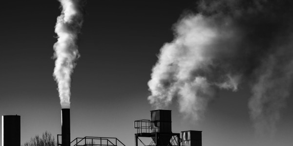 Delitos Societarios El Real de Gandia ​ · Delitos Contra el Medioambiente / Contaminación