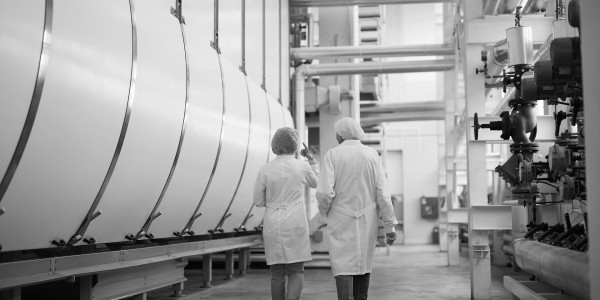 Delitos Societarios El Real de Gandia ​ · Delitos Riesgos Laborales / Prevención de Riesgos